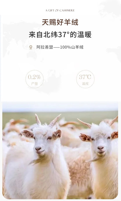 Autumn and Winter New Women's Sweater 100% Pure Cashmere High Collar Hoodie Knitted Basic Style Hot Selling Women's Top